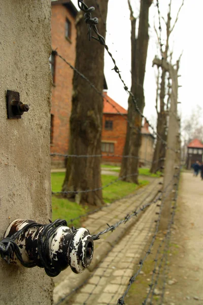 Концлагерь Освенцим — стоковое фото