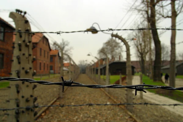 Ogrodzenia elektryczne w auschwitz — Zdjęcie stockowe