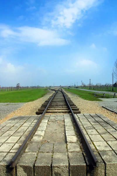 Träna ihjäl i auschwitz — Stockfoto