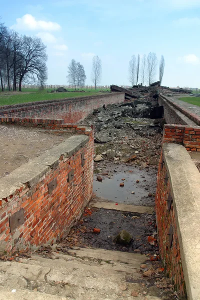 The remains of the gas chambers at Auschwitz — Stock Photo, Image