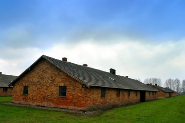 Auschwitz toplama kampı