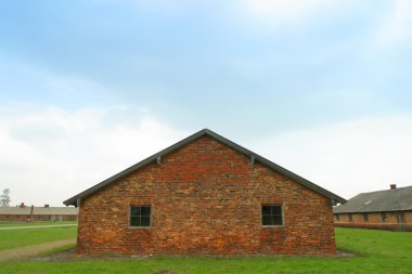 Auschwitz toplama kampı