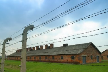 Auschwitz toplama kampı