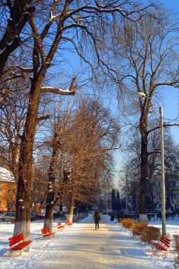 verliefde paar met bloemen in de natuur