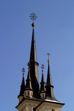 verliefde paar met bloemen in de natuur