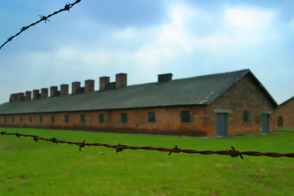 Auschwitz toplama kampı — Stok fotoğraf