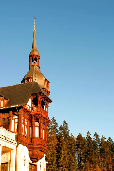 Brasov Burg — Stockfoto