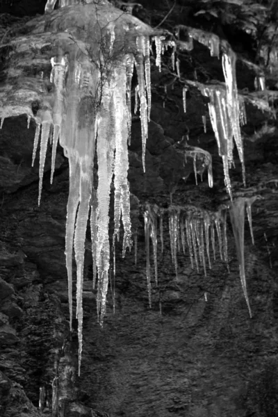 Icicles forming on rocks — Stock Photo, Image