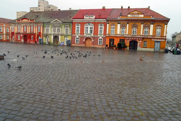 Piata victoriel voetgangers mall — Stockfoto