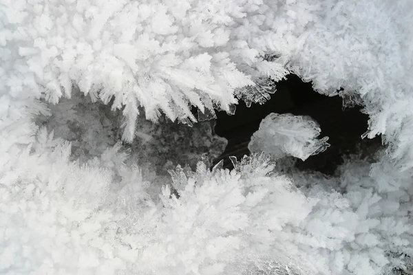 Detail van sneeuwvlokken — Stockfoto