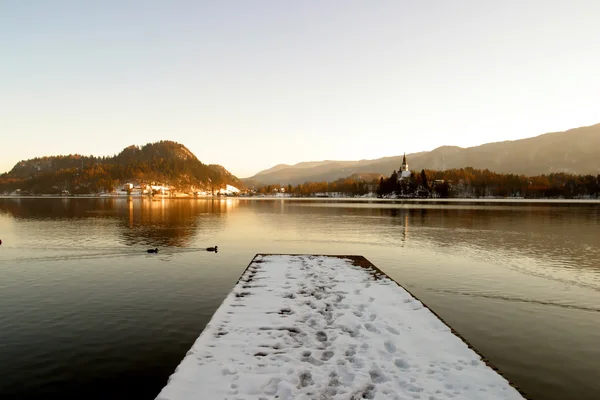 Lake bled Slovenië. — Stockfoto
