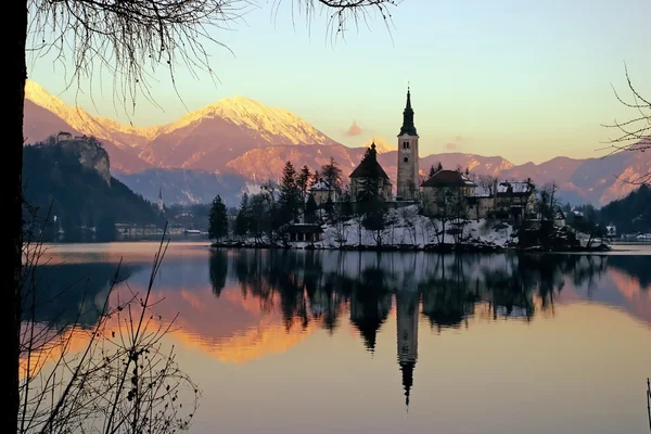 Church of the Assumption — Stock Photo, Image