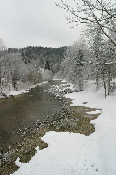 Rivier en bomen — Stockfoto