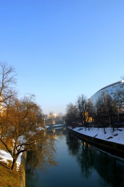 Ljubljanica Nehri'nin