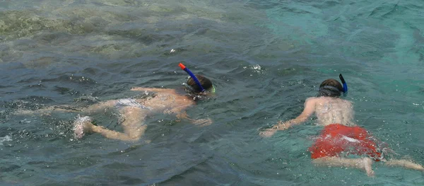 Les amateurs de plongée avec tuba — Photo