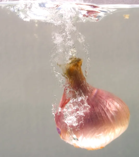 Oignon avec l'eau spalsh — Stockfoto