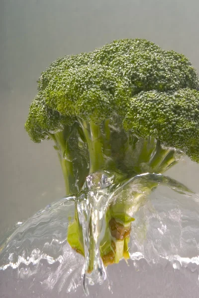Brokoli dengan percikan air — Stok Foto