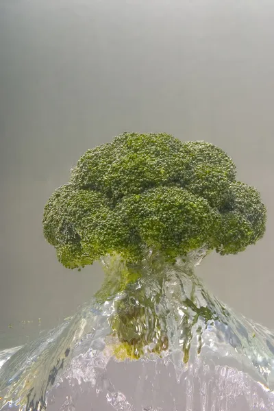 Brokoli dengan percikan air — Stok Foto