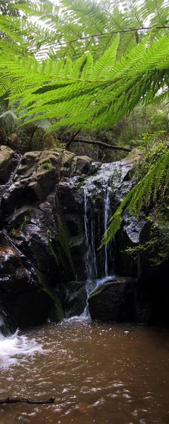 Waterfall in forest — Stock Photo, Image