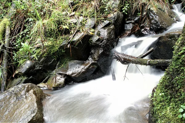 Vattenfall i skogen — Stockfoto