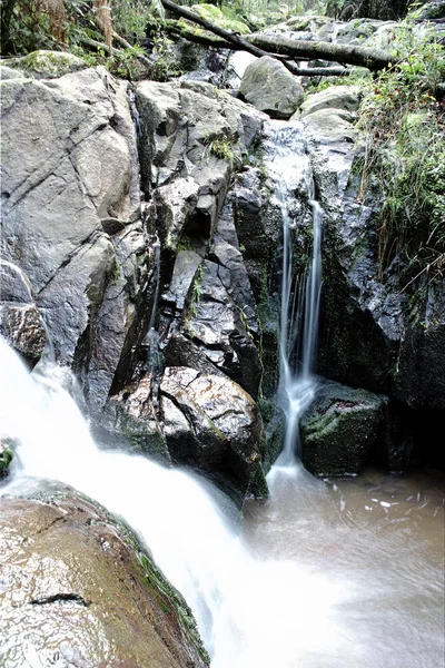 Cachoeira na floresta — Fotografia de Stock