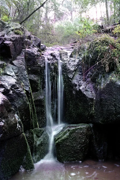 Waterval in bos — Stockfoto