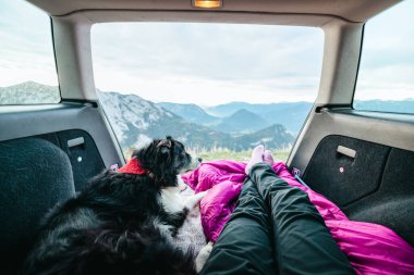 View from the trunk of a car to beautiful austrian landscape with the black and white Border collie and girls legs