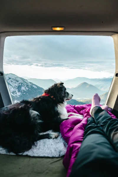 View from the trunk of a car to beautiful austrian landscape with the black and white Border collie and girls legs — стоковое фото