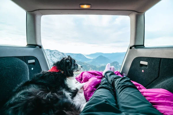 View from the trunk of a car to beautiful austrian landscape with the black and white Border collie and girls legs — Stockfoto