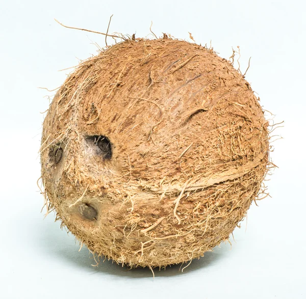 meyve Hindistan cevizi