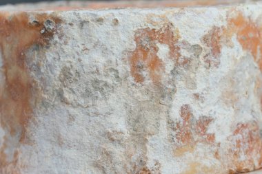 Küflü peynir. Stilton. İngiliz peyniri.