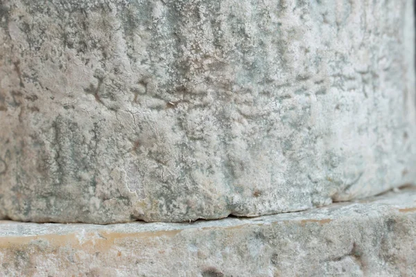 Küflü peynir. Gorgonzola. Ev yapımı..