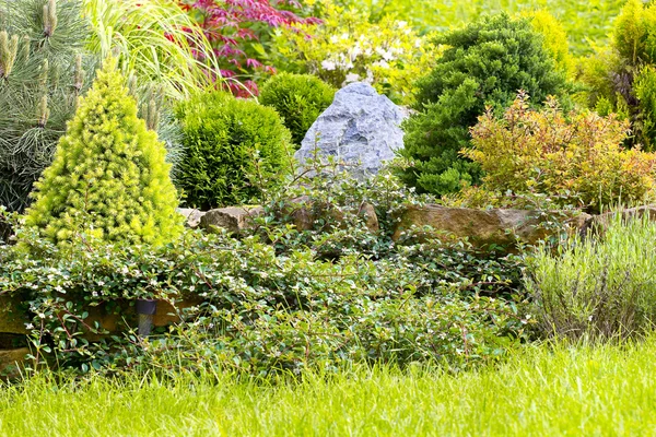 Garden — Stock Photo, Image