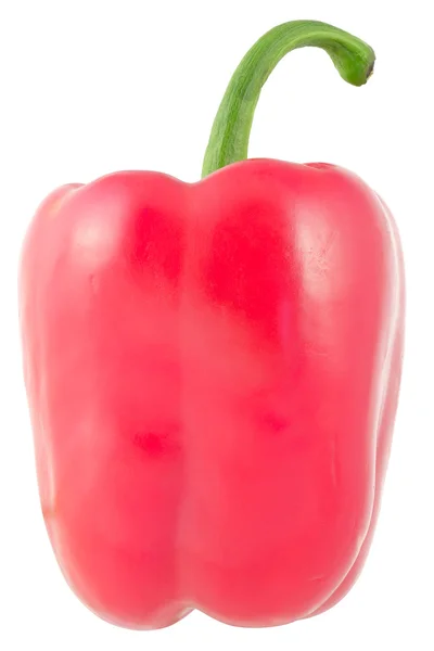 Paprika — Stockfoto