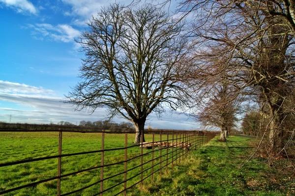 Rural country road. — Stock Photo, Image