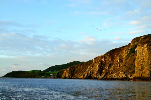 Skotska kustnära klippor — Stockfoto