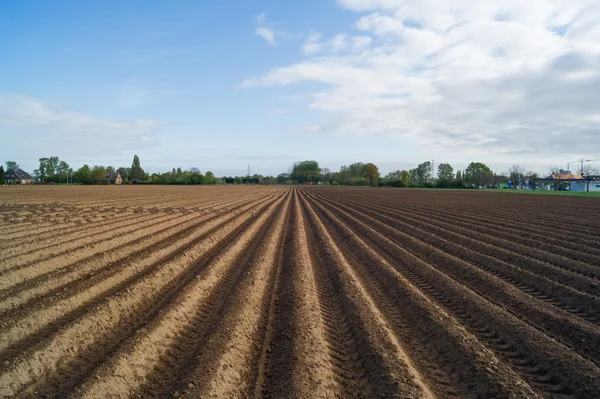 Offene landwirtschaftliche Flächen in Doetinchem, Holland, Niederlande. — Stockfoto