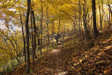 Güzel bir sonbahar sabahında yürüyüş parkurlarında sonbahar renkleri. Aç Rock Eyalet Parkı, Illinois, ABD.