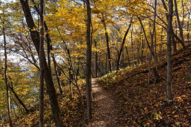 Güzel bir sonbahar sabahında yürüyüş parkurlarında sonbahar renkleri. Aç Rock Eyalet Parkı, Illinois, ABD.