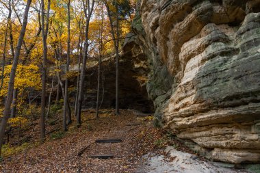 Council Overhang 'da sabahın erken saatlerinde sonbahar ve sonbahar renkleriyle. Aç Rock Eyalet Parkı, Illinois, ABD.