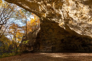 Council Overhang 'da sabahın erken saatlerinde sonbahar ve sonbahar renkleriyle. Aç Rock Eyalet Parkı, Illinois, ABD.