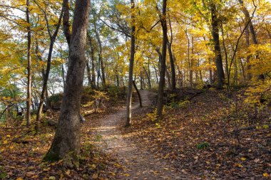 Güneşli bir sonbahar sabahında ormanda yürüyüş yapmak. Aç Rock Eyalet Parkı, Illinois, ABD