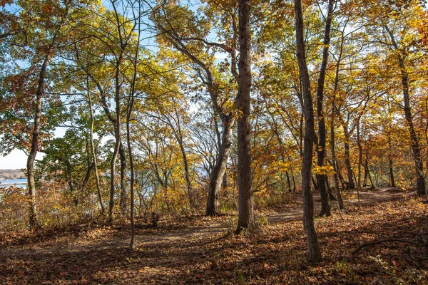 Hiking Trail Woods Sunny Fall Morning Starved Rock State Park — Stock Photo, Image