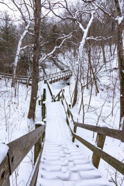 Kar ve buz, kış fırtınasından sonra izleri kapadı. Aç Rock Eyalet Parkı, Illinois, ABD.