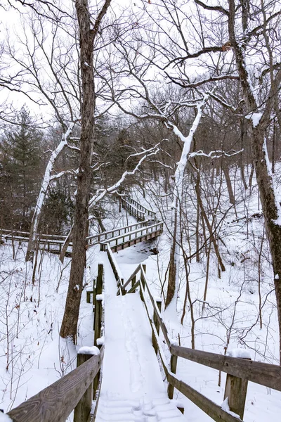 Snow and ice covered trails after a winter storm.  Starved Rock state park, Illinois, USA.