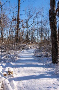 Illinois Kanyonu bölgesinde güneşli güzel bir sabahta taze kar. Aç Rock Eyalet Parkı, Illinois, ABD.