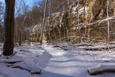 Illinois Kanyonu bölgesinde güneşli güzel bir sabahta taze kar. Aç Rock Eyalet Parkı, Illinois, ABD.