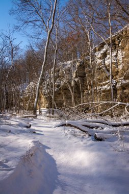Illinois Kanyonu bölgesinde güneşli güzel bir sabahta taze kar. Aç Rock Eyalet Parkı, Illinois, ABD.