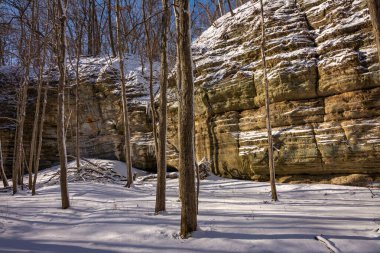 Illinois Kanyonu bölgesinde güneşli güzel bir sabahta taze kar. Aç Rock Eyalet Parkı, Illinois, ABD.