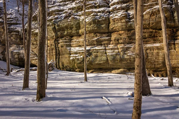 Neve Fresca Uma Bela Manhã Ensolarada Área Illinois Canyon Parque — Fotografia de Stock